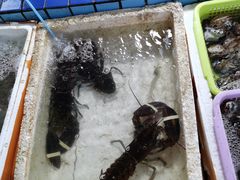 -霞涌市场海鲜摆卖区