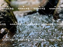 -茅兰沟国家森林公园