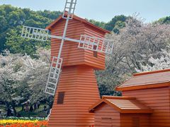 -苏州上方山国家森林公园