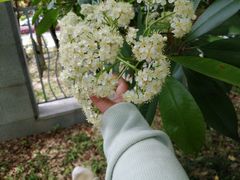 -经纬·泓汇地标家园