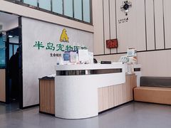 -半岛宠物医院24小时(科华中路店)
