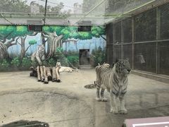 -五龙山野生动物王国