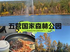 -五营红松林海景区