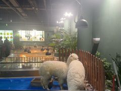 -上海大自然野生昆虫馆(东方明珠·爬宠昆虫探索中心)