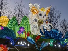 -武汉园博园(武汉自然博物馆)