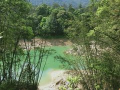 -广州市流溪河国家森林公园