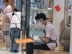 -藏猫猫咖啡主题馆(中央大道店)