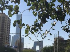 -中央广播电视总台(光华路办公区)