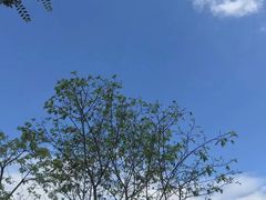 -南丹山森林王国