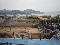 -西霞口神雕山野生动物世界