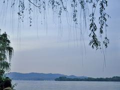 -西湖外事游船(花港观鱼码头)