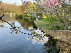 -上海共青森林公园