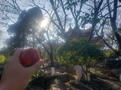 -昆明动物园