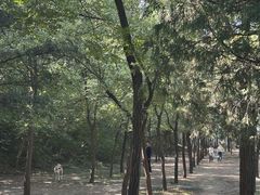 -元大都城垣遗址公园