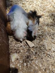 -酷嗒动物文化乐园(cutezoo西溪乐天城店)