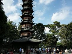 -上海佘山国家森林公园西佘山园