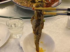 -高坎一品甲鱼庄(两河店)