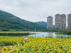-龙江公园