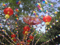 -松山湖梦幻百花洲