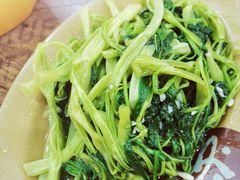 椒丝腐乳通菜-贞姨美食·老字号海鲜大排档