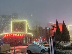 -西苑公园