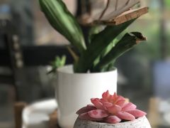 -黑胶星球(华发中城商都店)