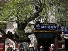 -古树酸奶(八廓南街店)