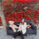 深蓝计划X~~适合会拍照的一起去