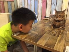 -小时光咖啡馆(开森度假森林店)