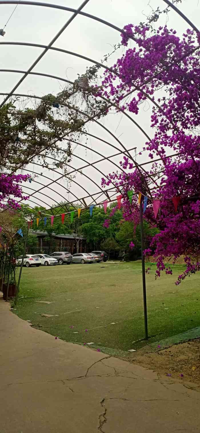 逸景桂花苑泥鳅山庄"走大众实惠路线的那种农家乐,这家是从家附.