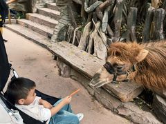 -长鹿旅游休博园