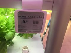 -盒马鲜生(大成店)