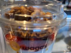 -Wagas沃歌斯(汇智店)