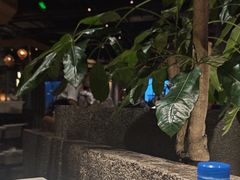 -园里火锅(仁和新城店)