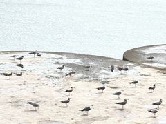 -星海广场