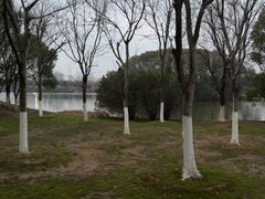 -艾溪湖湿地公园