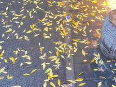 -浩海火烧云傣家菜(京广店)