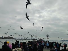 -前海沿·青岛菜(乐客城店)