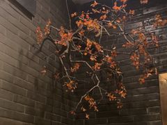 -宋宴(虎跑店)