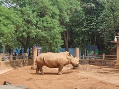 -昆明动物园
