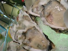 -上海浦东滨江喜来登酒店
