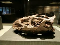 -世界恐龙谷景区