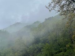 -秦岭终南山世界地质公园翠华山景区