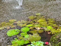 -青青世界
