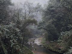 -碧峰峡风景区