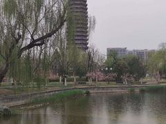 -西海子公园