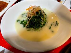 豆苗-荷风细雨·中国茶宴(碧云店)