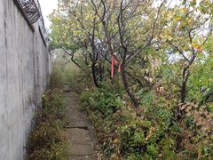 -北京十三陵国家森林公园蟒山景区