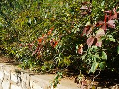 -北京西山国家森林公园