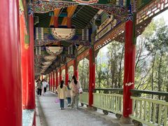 -兰山公园